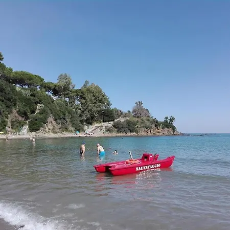 Begonia Διαμέρισμα *