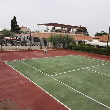Begonia * Cefalù