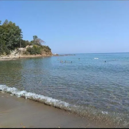 Appartement Begonia *