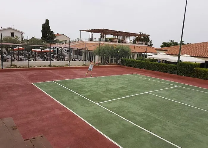 Begonia * צ'פאלו