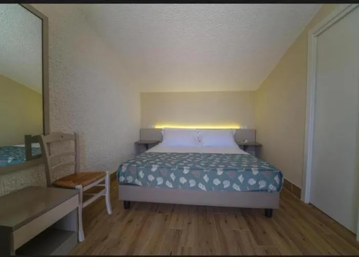 Begonia * צ'פאלו